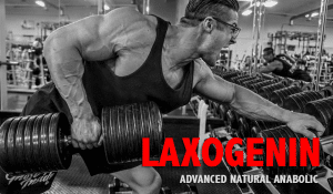 laxogenin supplements