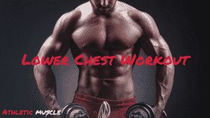 lower chest workout